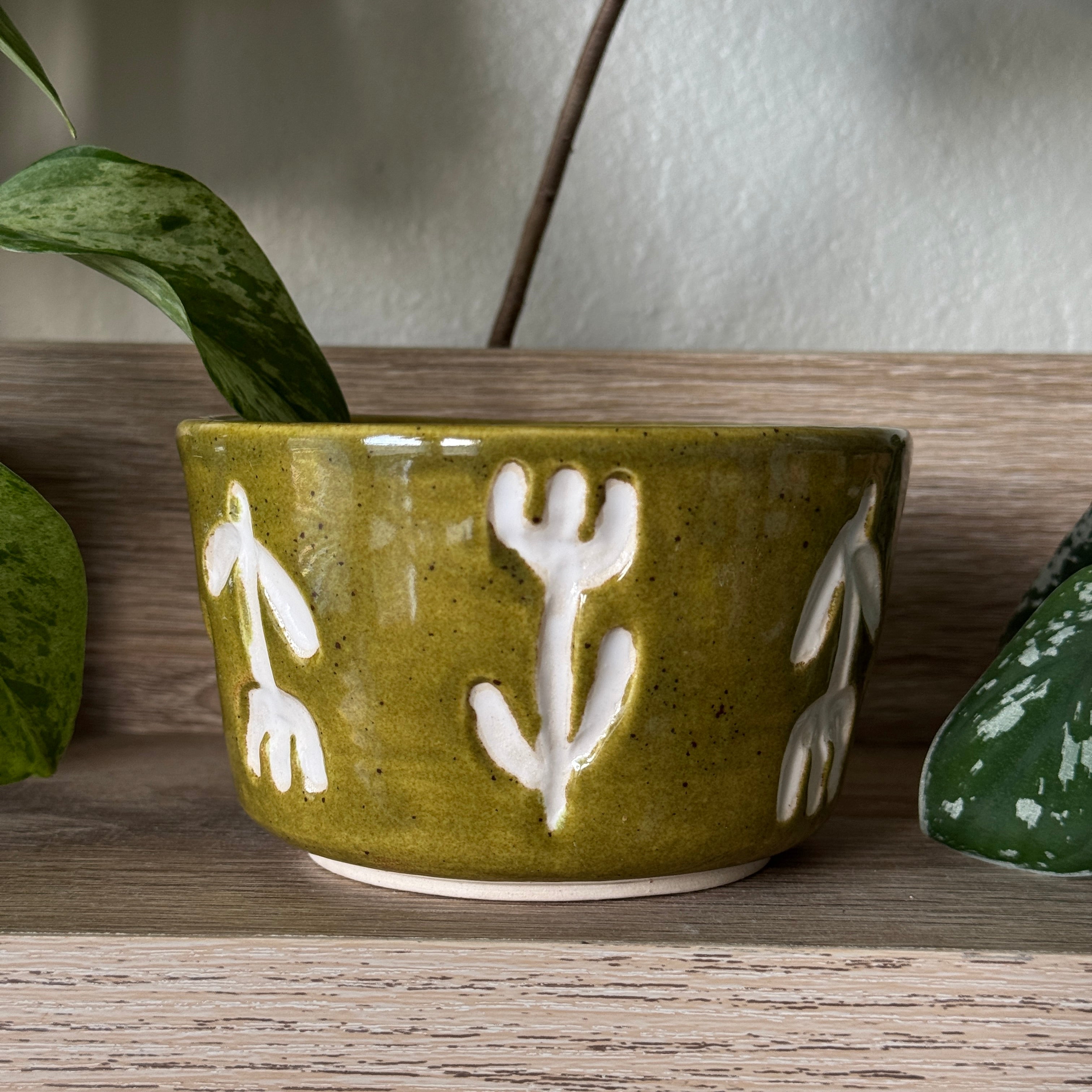 porcelain sgraffito botanical bowl