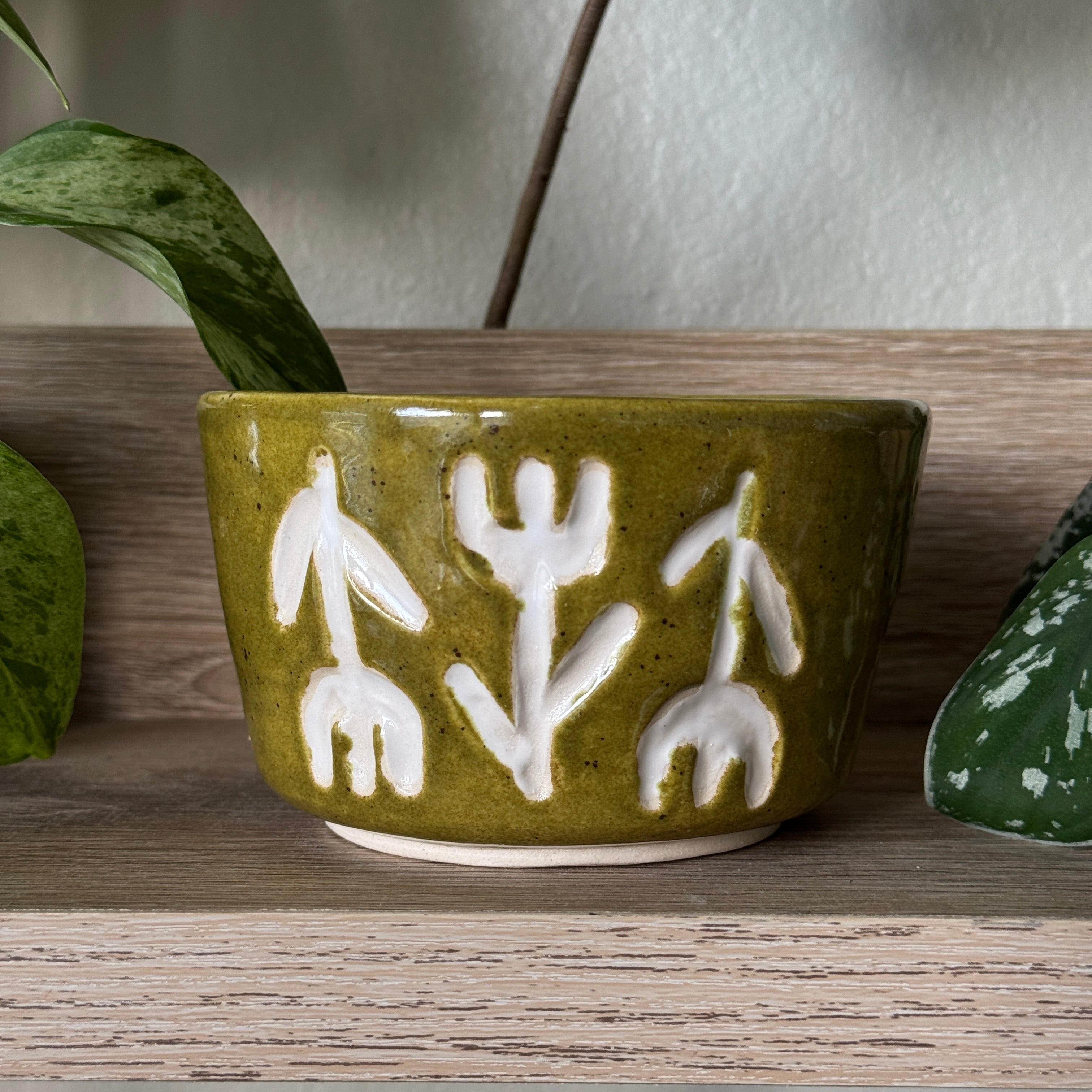 porcelain sgraffito botanical bowl