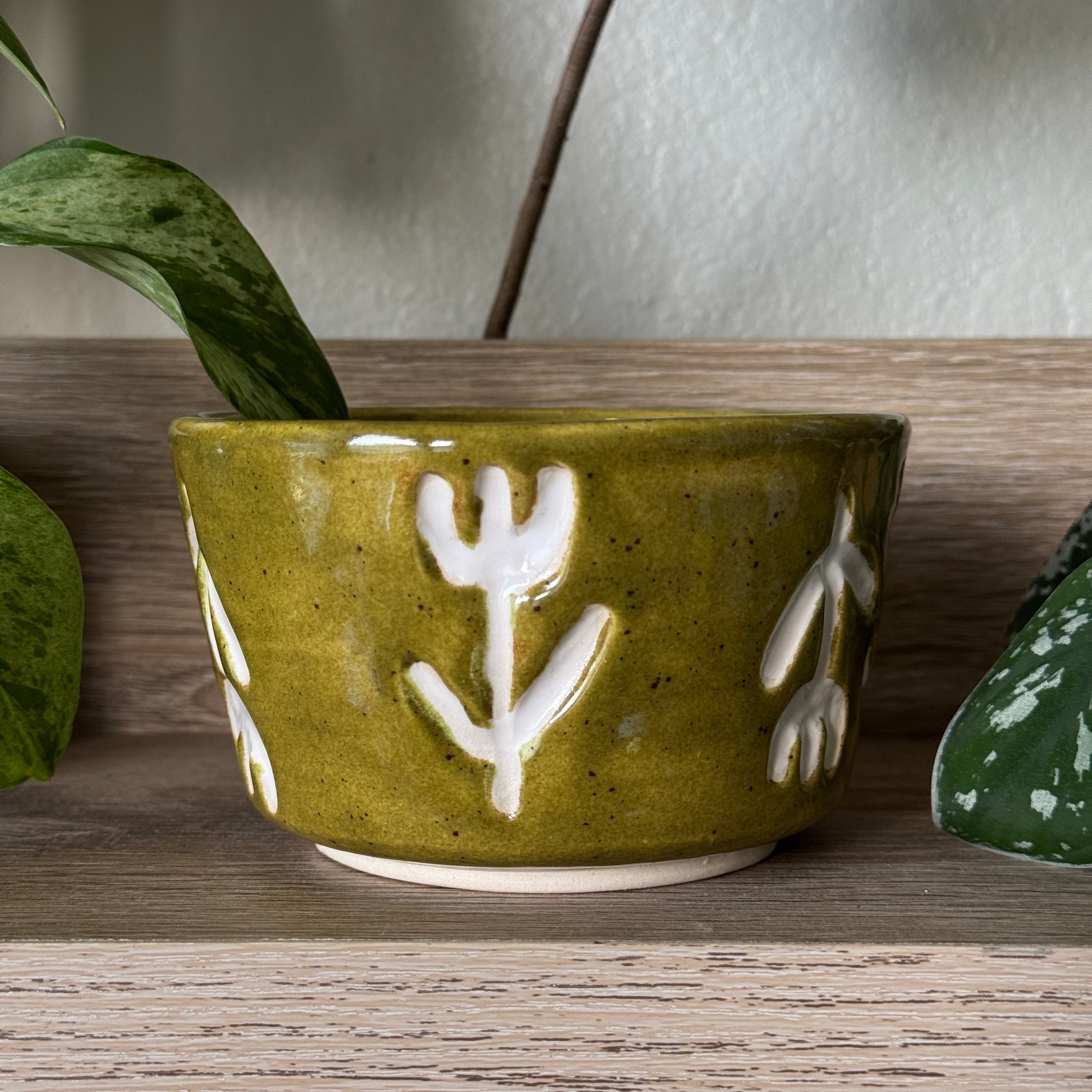 porcelain sgraffito botanical bowl
