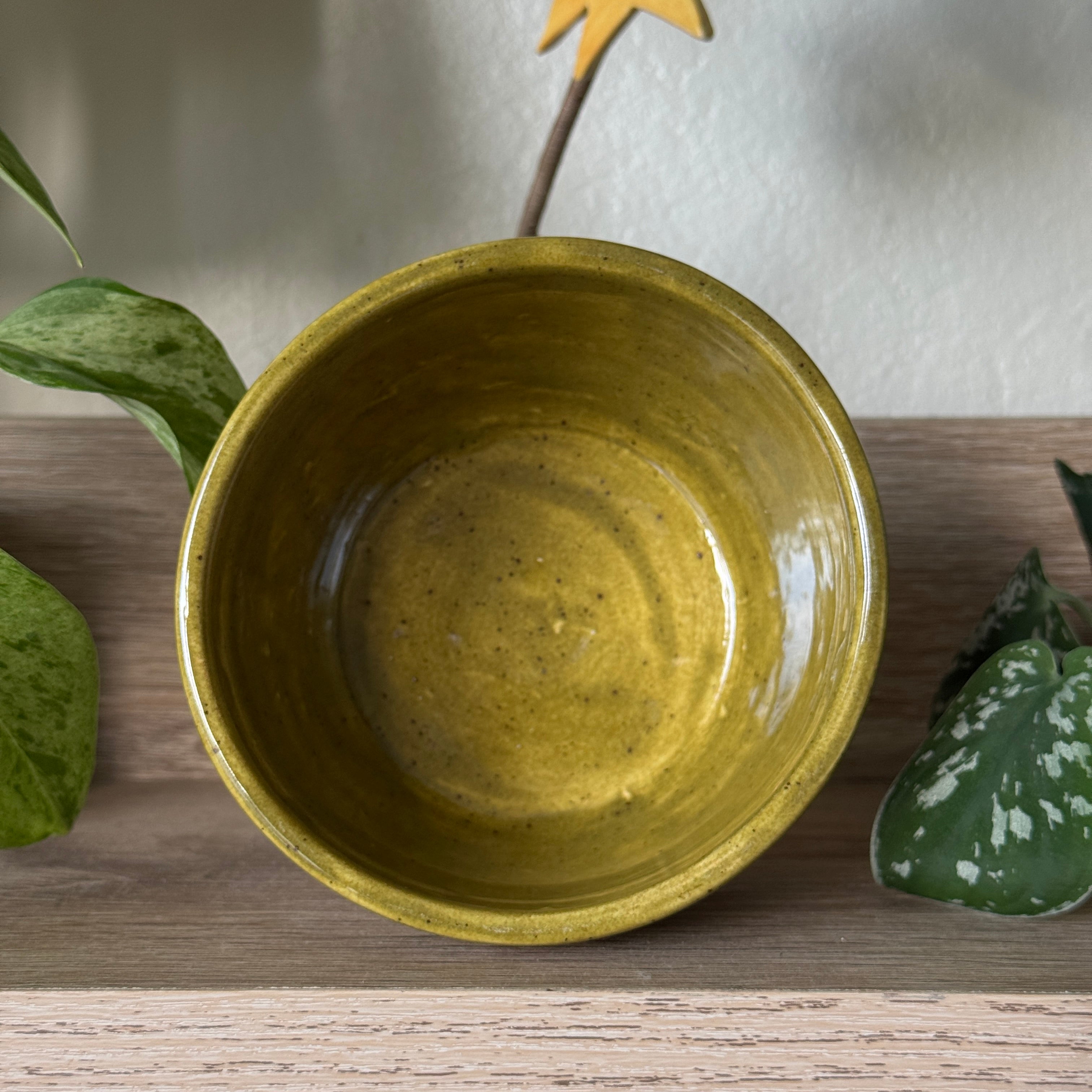 porcelain sgraffito botanical bowl