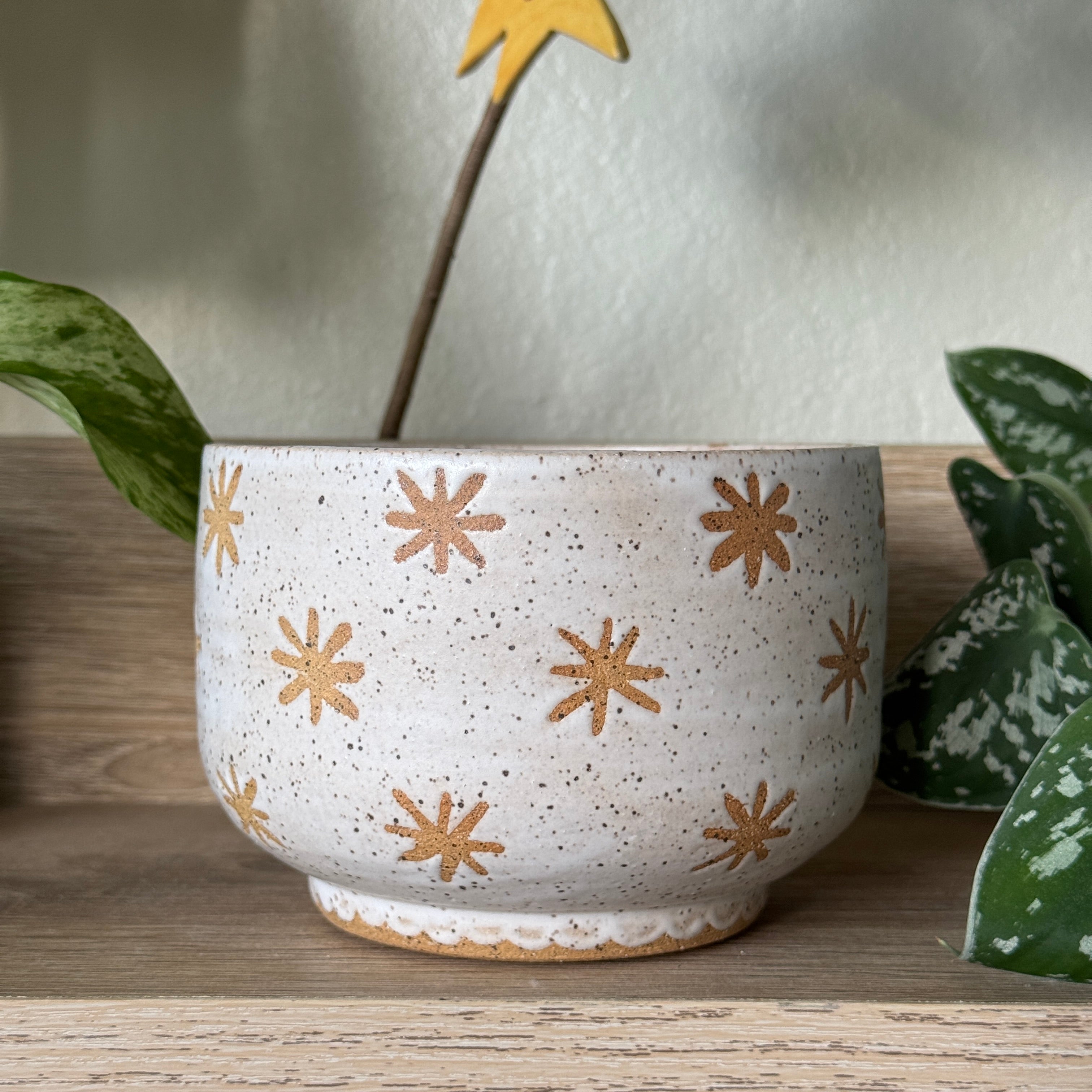 celestial bloom bowl