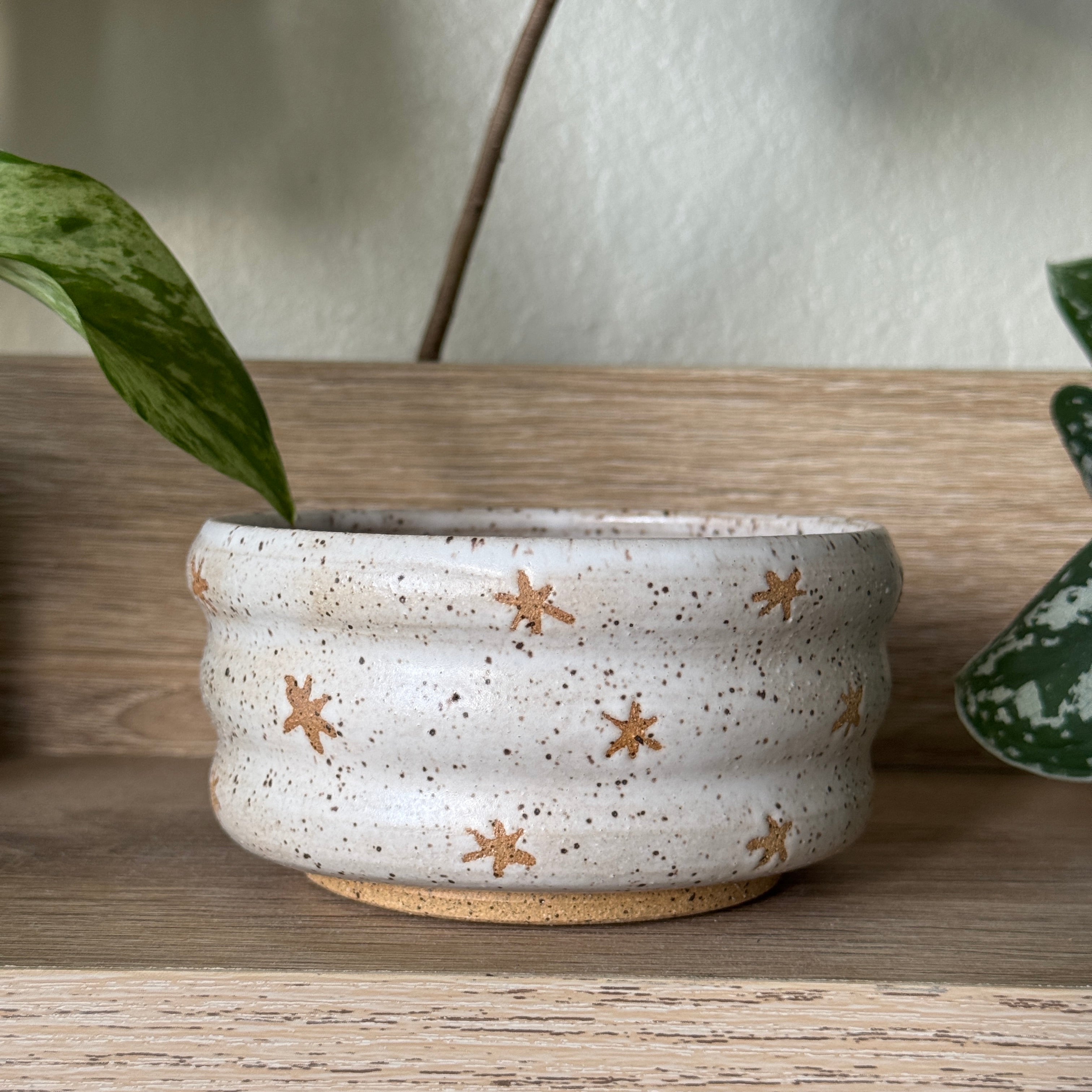 low celestial bloom bowl