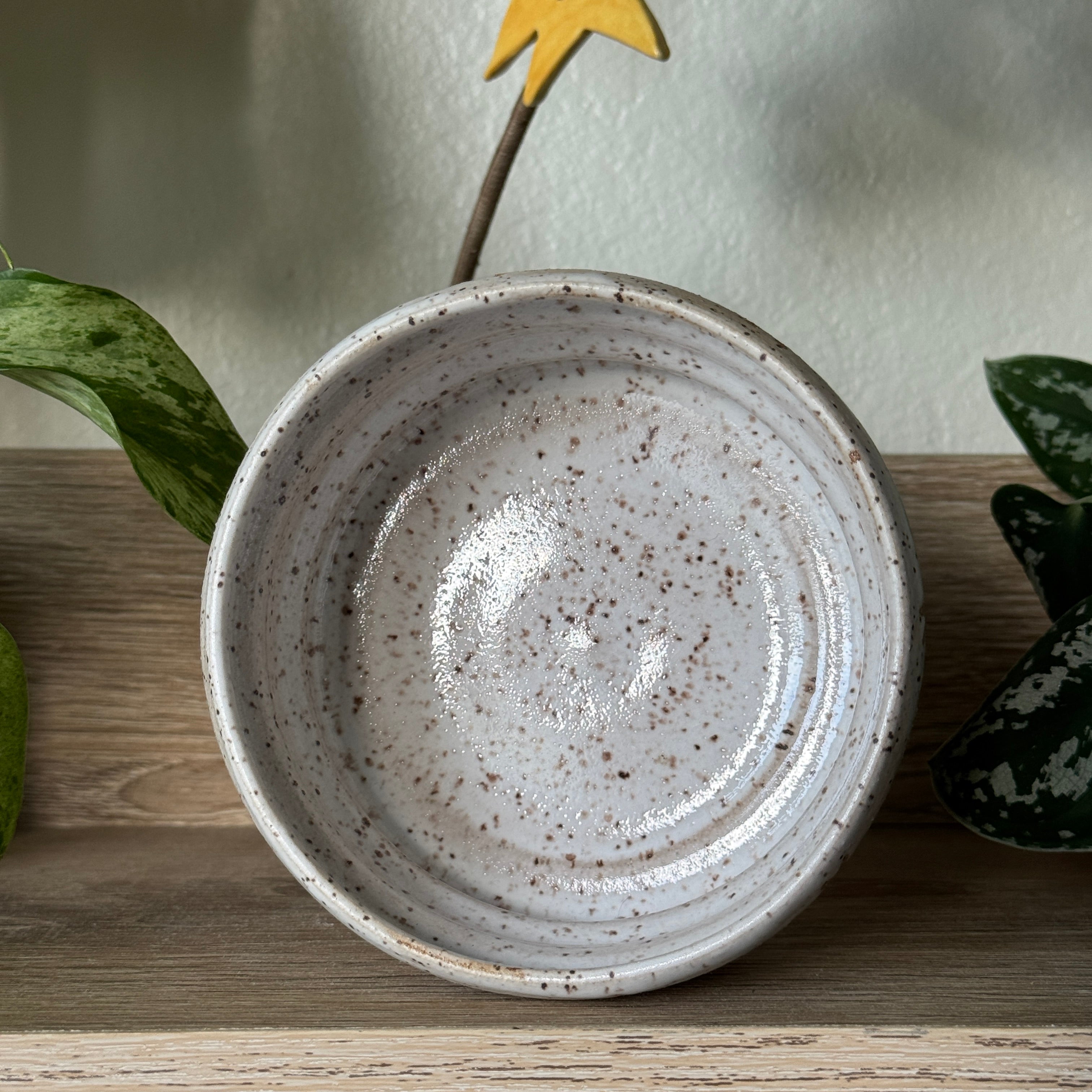 low celestial bloom bowl