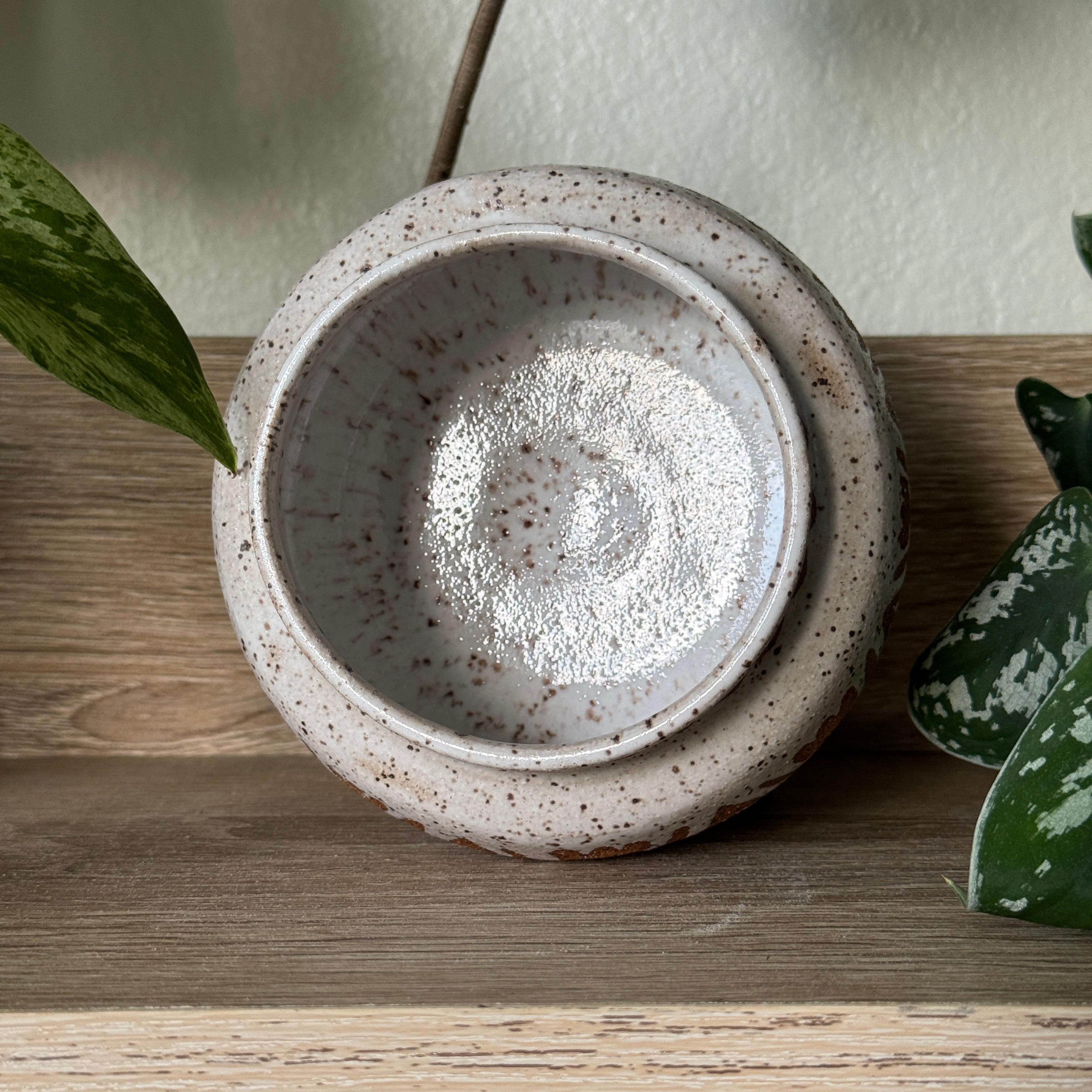 meadow bloom catchall