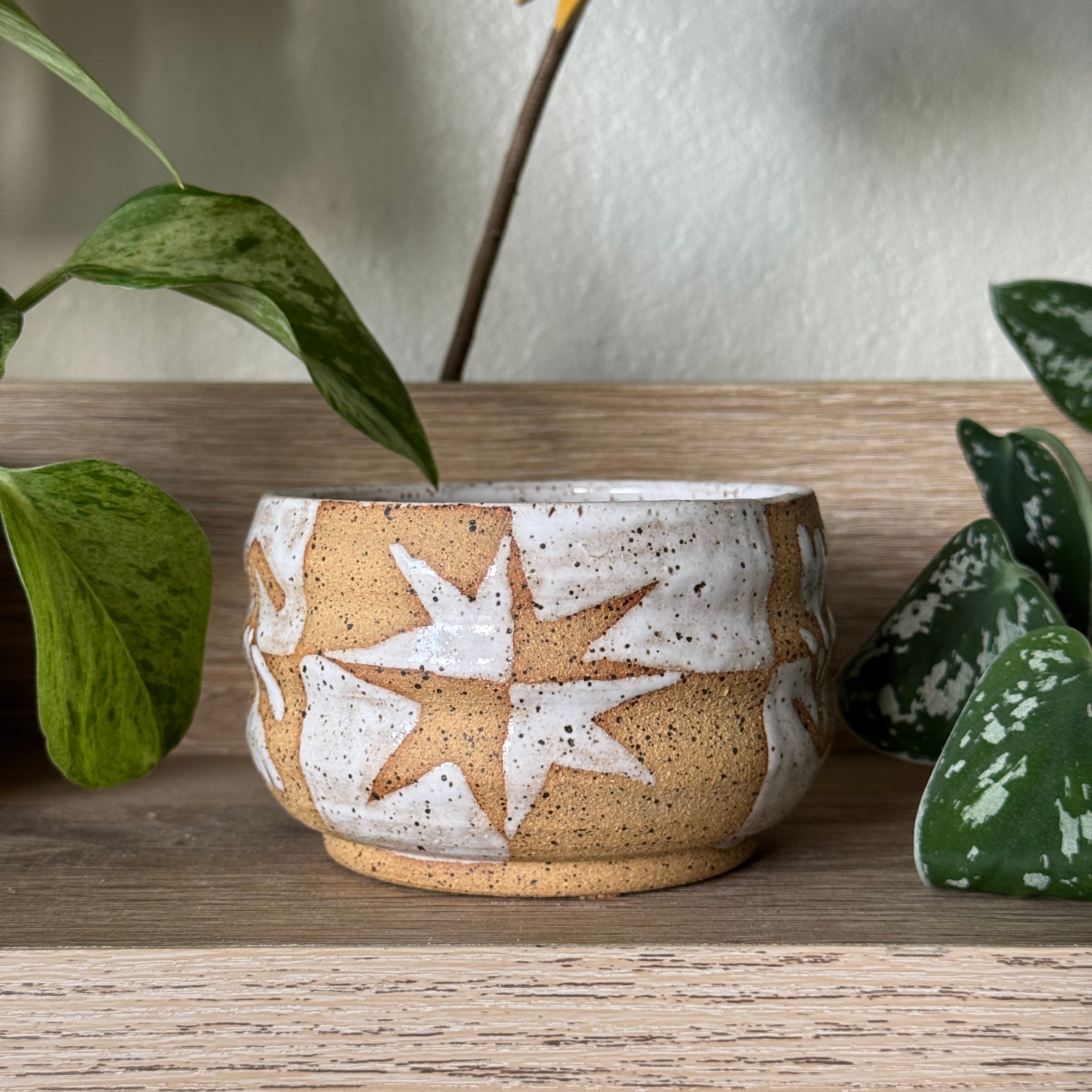 checker garden bowl
