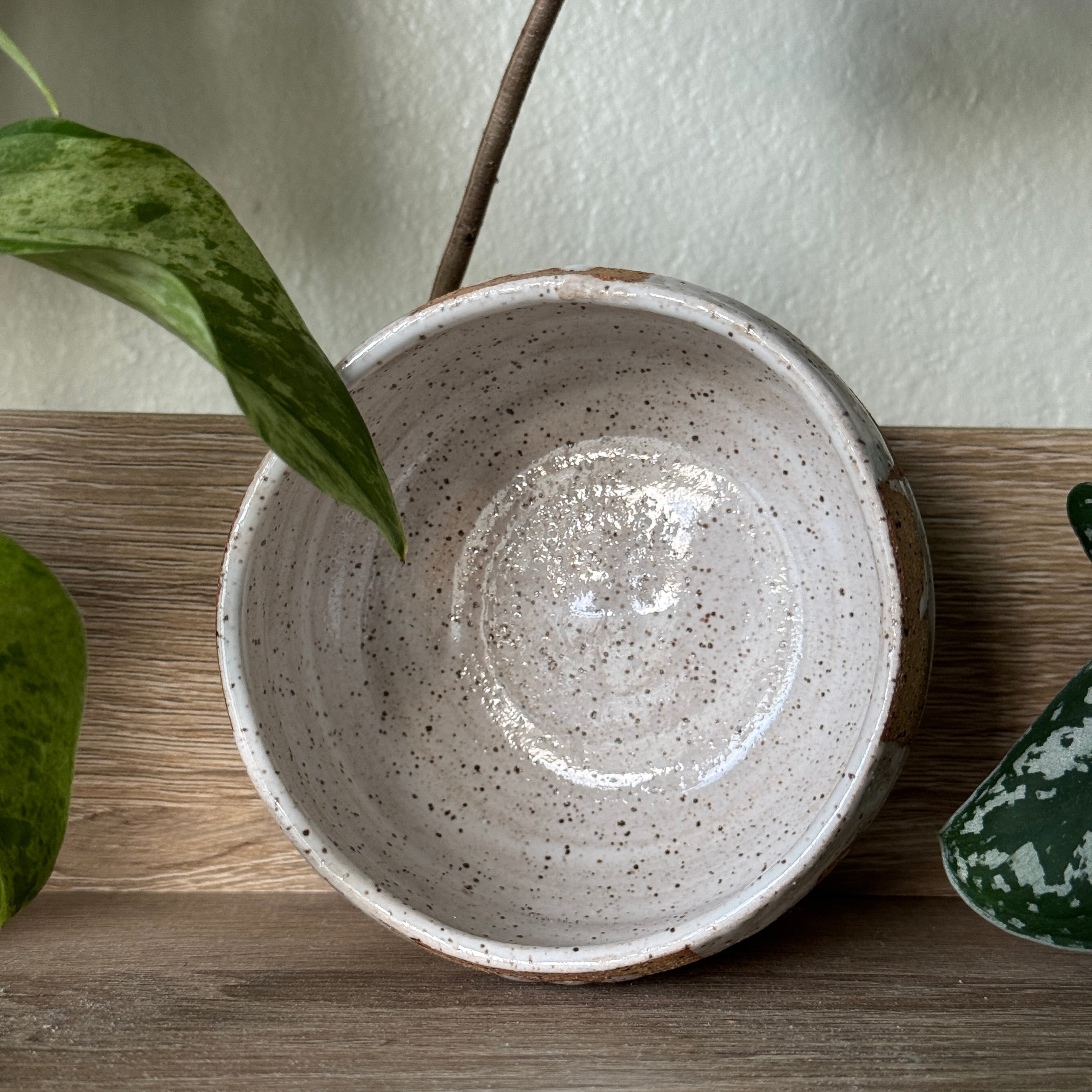 checker garden bowl