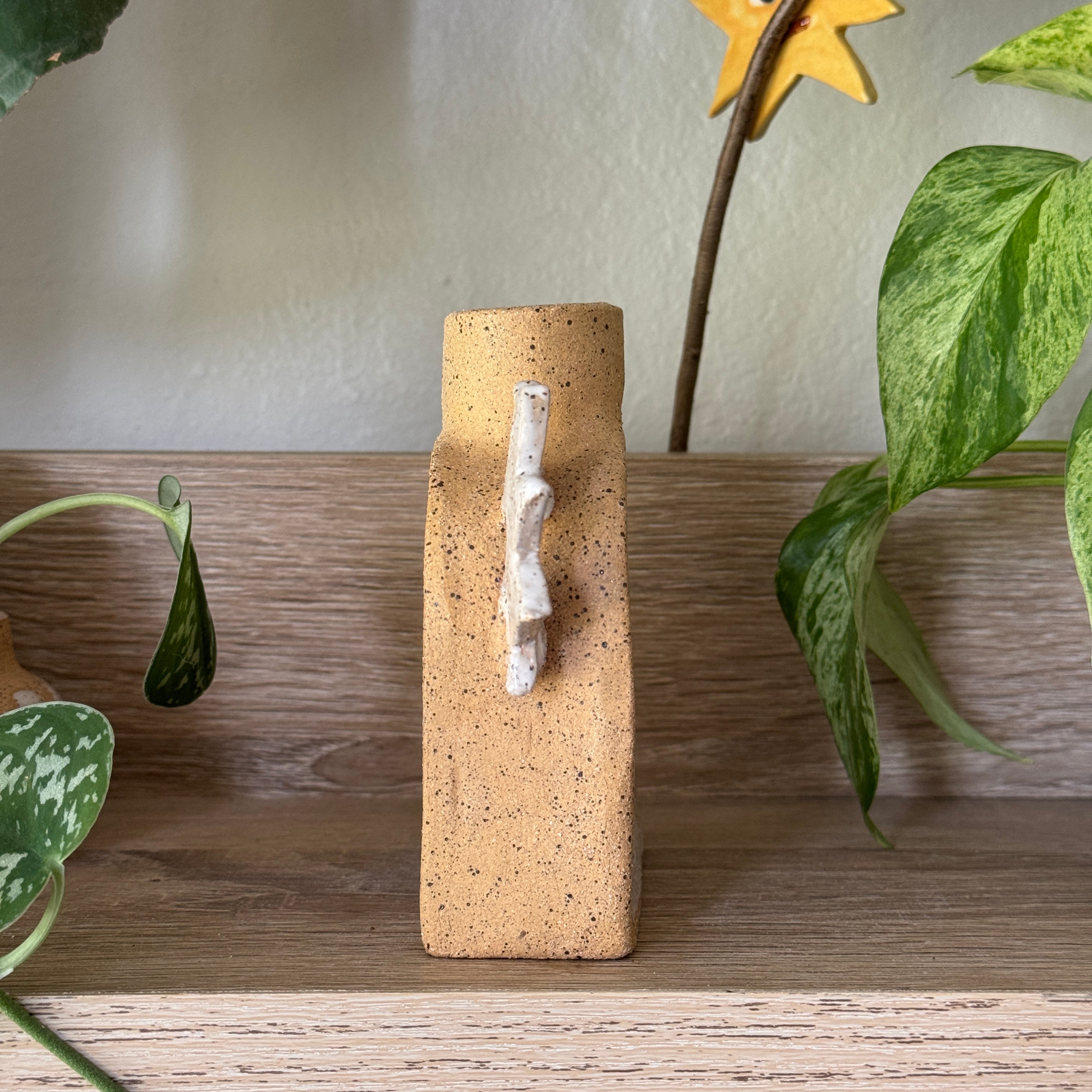 desert bloom vase