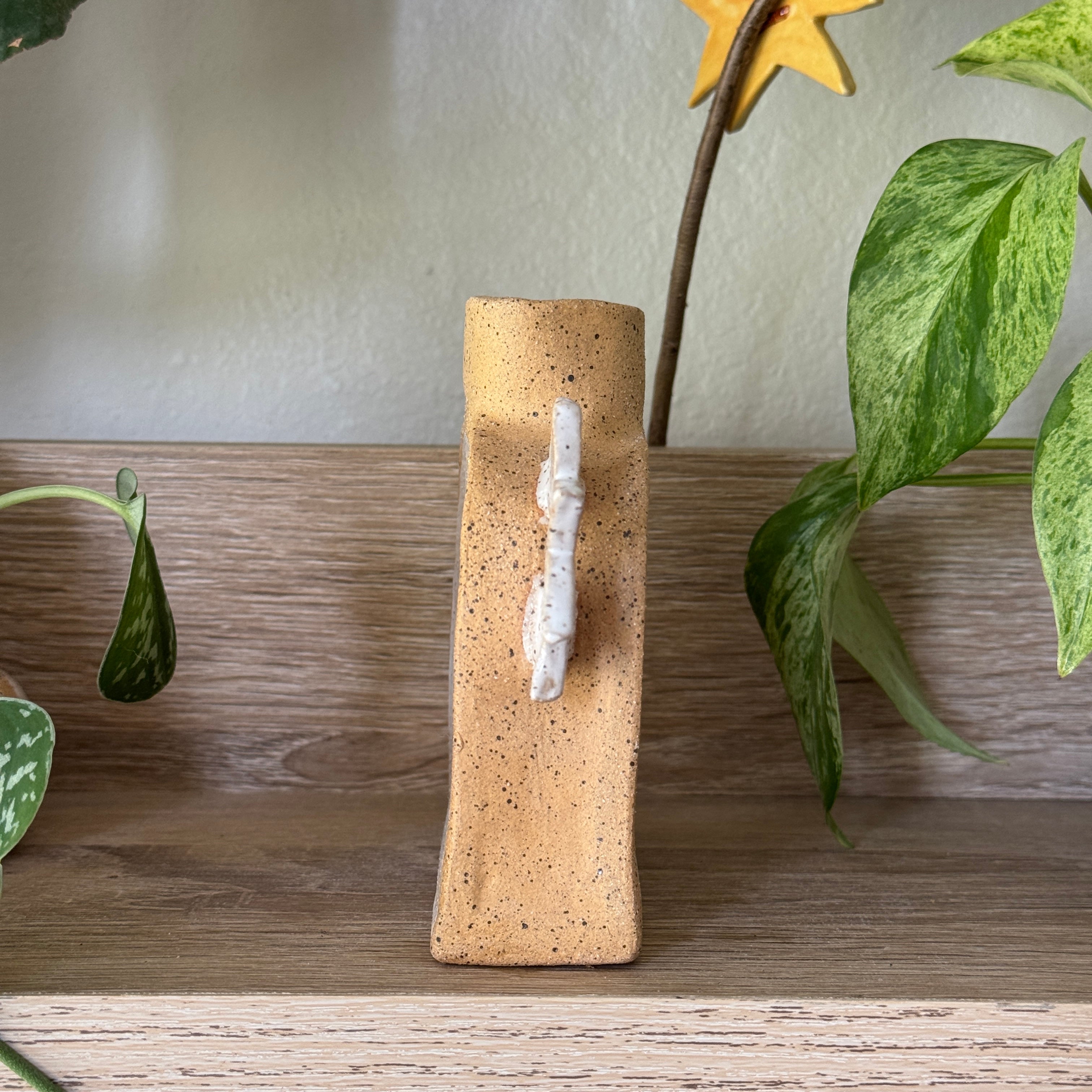 desert bloom vase