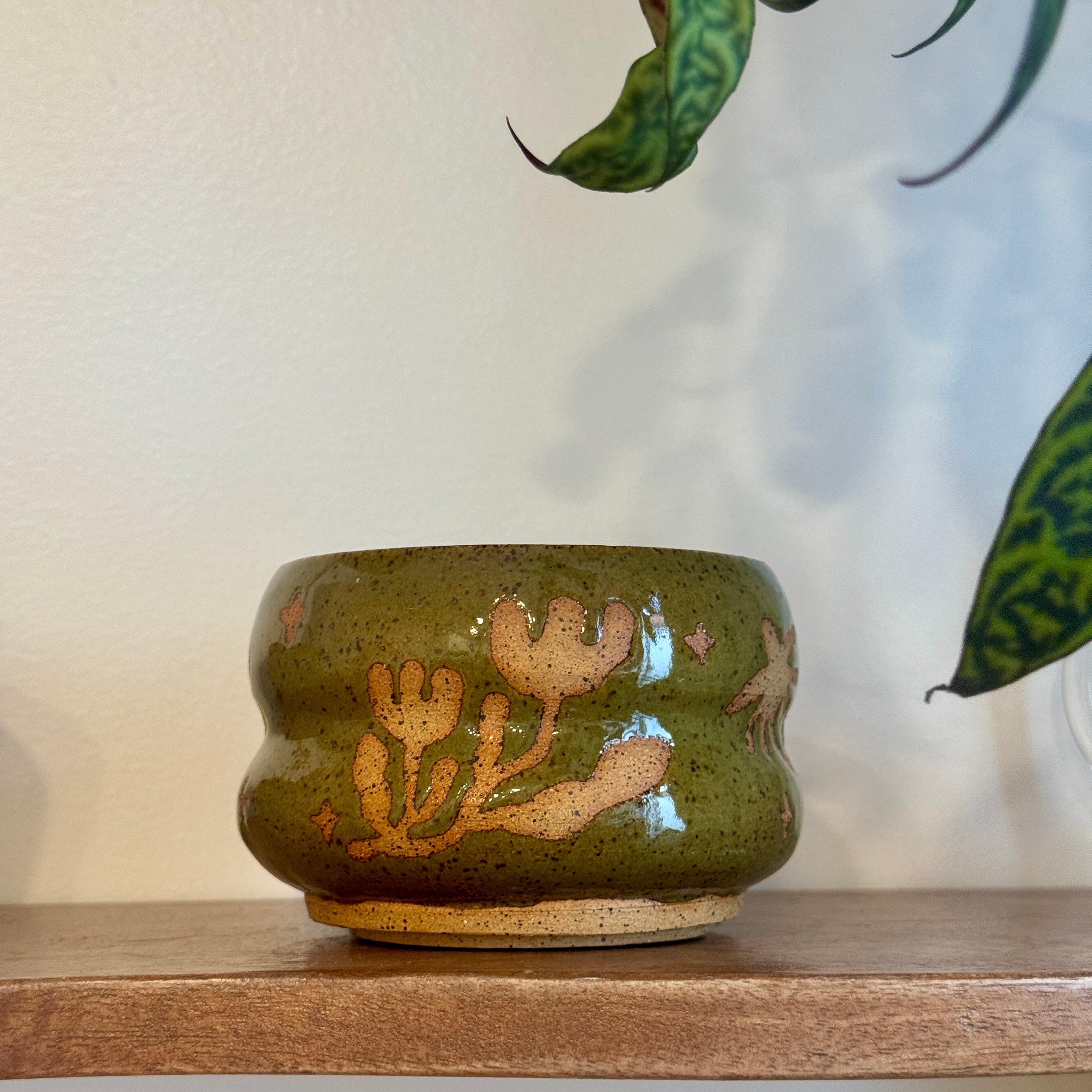 sunbaked meadow bloom bowl